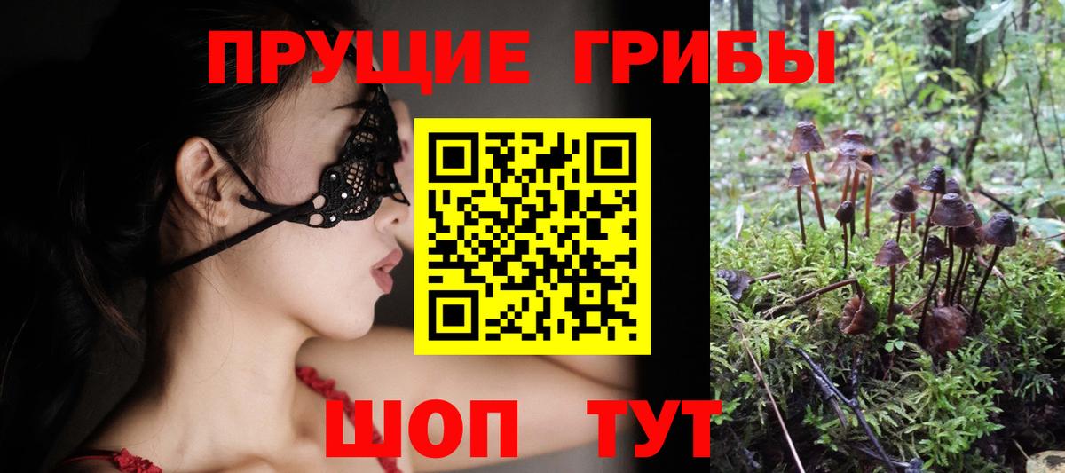 где купить   Псилоцибиновые грибы ЛСД  Вход с VPN  Похвистнево 